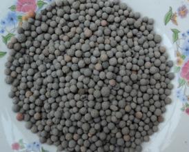 ��������Щ�����������V�Ϸ֞��Ď׷N